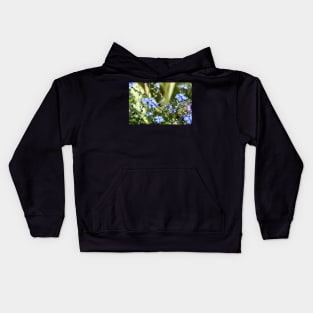 Honey Bees & Blue / Swiss Artwork Photography Kids Hoodie